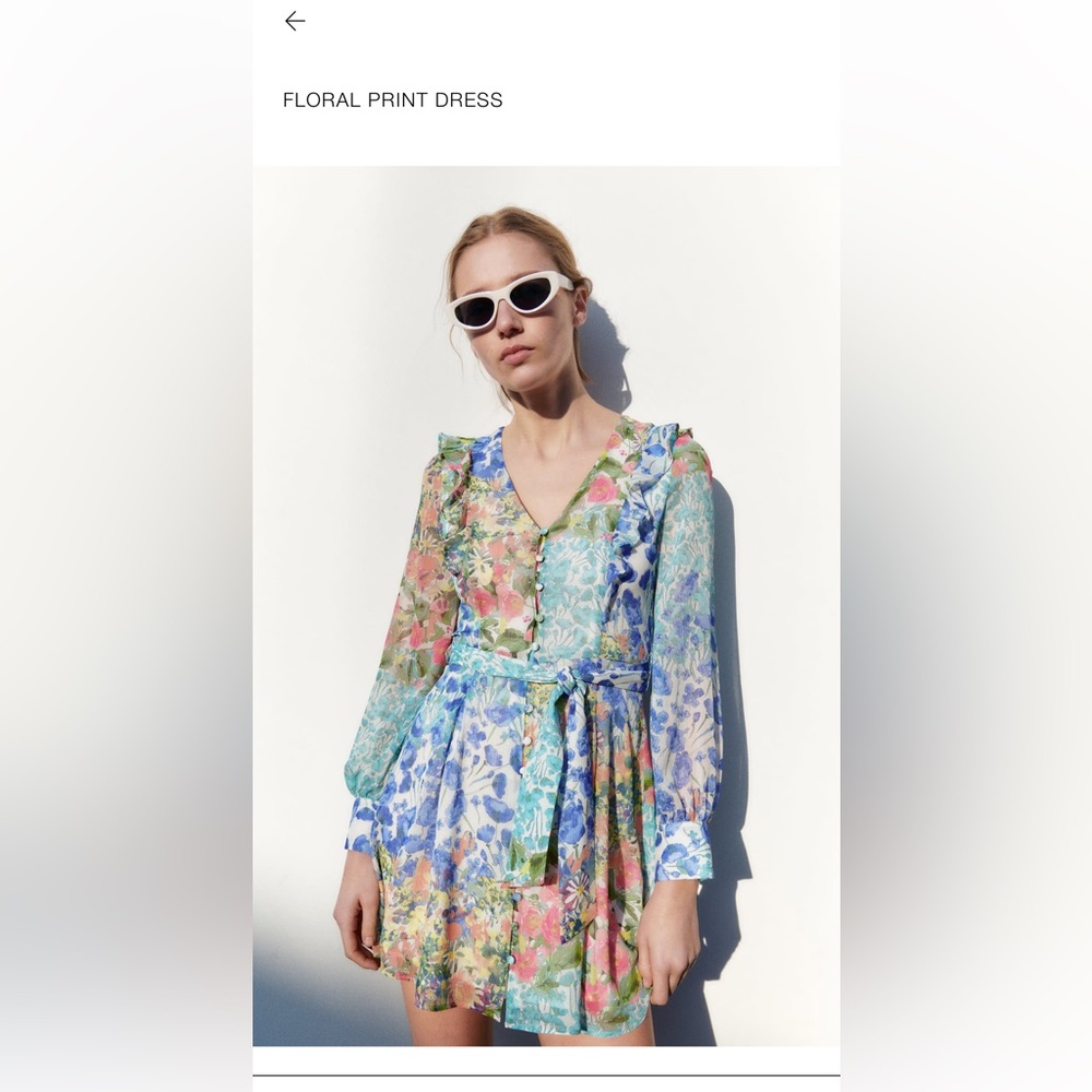 Zara Floral Print Dress (worn once)